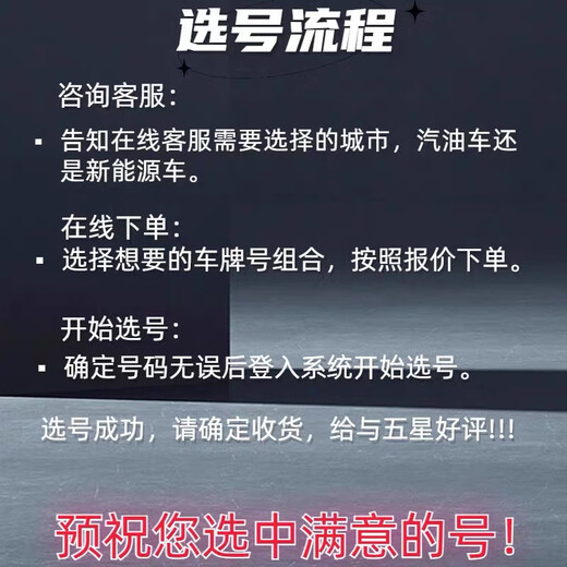 Nationale Nummernschild-Nummer-Auswahl selbst kompiliert und ausgewählt Shanghai, Guangzhou, Chengdu, Hangzhou New Energy Vehicle 12123 Datenbank weiße Brennstofffahrzeug ausgewählt
