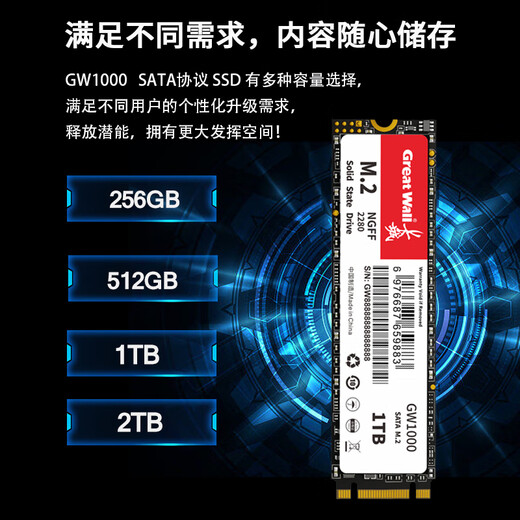 Great Wall 256GB SSD solid state drive M.2 interface SATA protocol reading speed 540MB/S GW1000 series