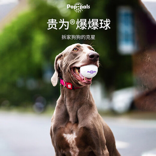 GiGwi dog toy, bite-resistant and molar-resistant, small dog toy ball, self-stimulating cat toy, explosive ball, pet toy ball