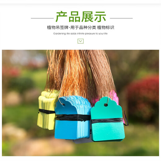 Shipton Etiqueta pequeña experimental de plástico Etiqueta de Flor de Planta Verde Etiqueta Impermeable Etiqueta de plántula de jardinería Etiqueta de Planta de orquídea 2.5 * 3.6 Rosa 100 Hojas