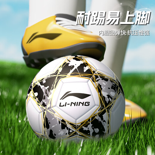 李宁（LI-NING）足球训练比赛用球中考专业标准世界杯 儿童青少年学生运动球 4号黑金【TPU机缝】LFQK673-1