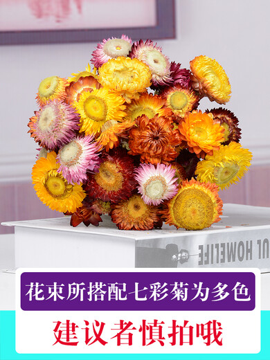 AIMAN fleurs vraies fleurs Yunnan bouquet de fleurs séchées myosotis vraies fleurs décoration de la maison arrangement floral simple mélange et correspondance haleine de bébé fleurs séchées violet + jaune + moût blanc + herbe des amoureux 30 pièces sac de fleurs séchées