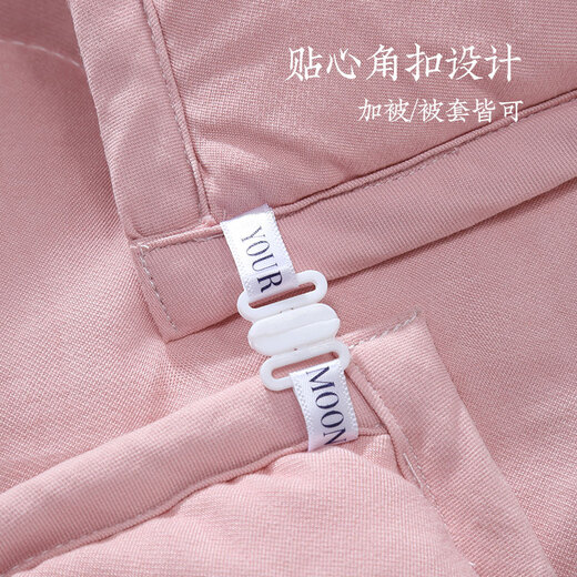The long dream quilt is cored in four seasons, silkworms are soft in four seasons, spring and autumn are quilts are universal in four seasons, apricot flour 200*230cm
