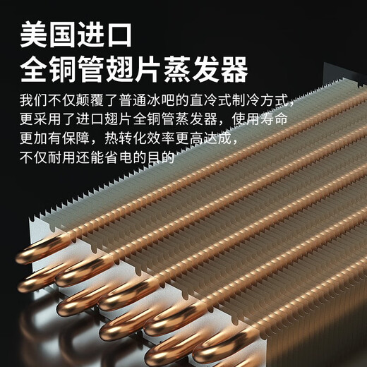 BAIKAILUN double-door thermostatic wine cabinet with double-door door ultra-thin and can be embedded in air-cooled frost-free thermostatic wine cabinet office household tea beverage liquor wine fruit preservation refrigerated display cabinet 1.78 meters dual temperature red wine ice bar 49 bottles thin section