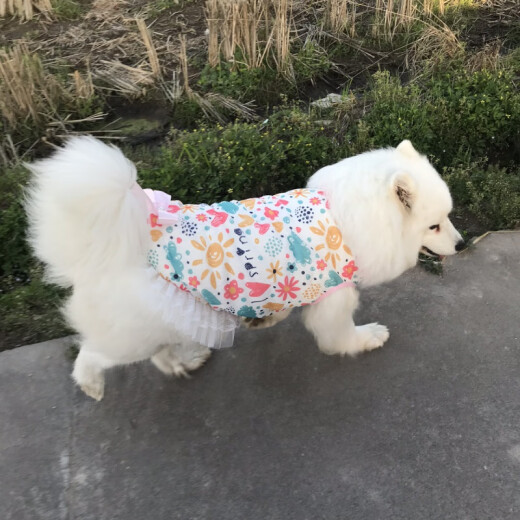 宠物大狗衣服中大型犬透气防掉毛防晒网纱萨摩金毛夏季薄款背心裙 粉色樱桃(不退不换) 110码(胸围9756-70斤左右)