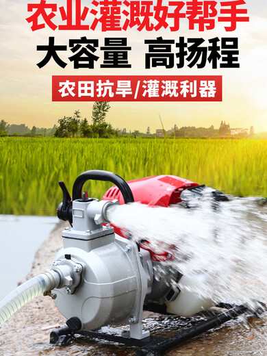 YAY imported Yamaha gasoline pump water pump irrigation agricultural small self-priming pump high lift large flow watering machine 140 four-stroke 1 inch + send 4 meters in + 20 meters out