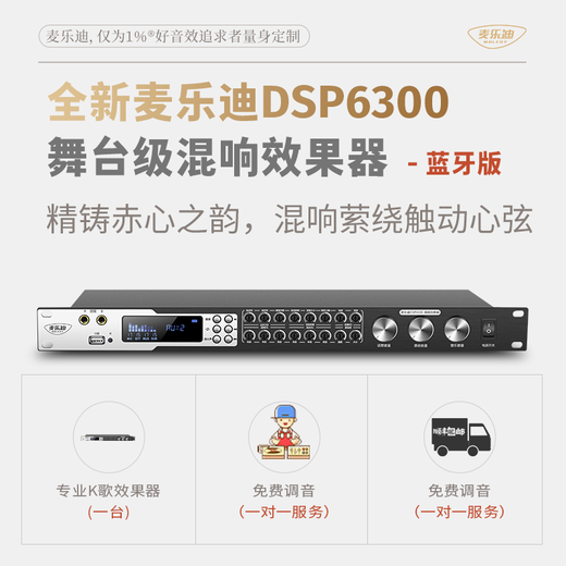 Melody DSP6300 karaoke reverberation digital audio preamp effector home theater anti-howling mixer processor with microphone mixer equalizer DSP6300 professional karaoke effector Bluetooth version standard version