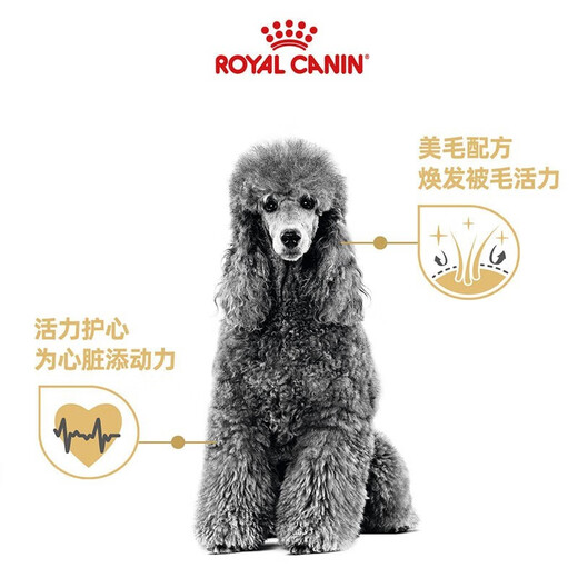 ROYAL CANIN Royal Dog Food PDA26 Poodle Teddy Old Dog Food-Age 8+ Full Price Food [>8 Years] PDA26 Poodle Old Dog 3KG