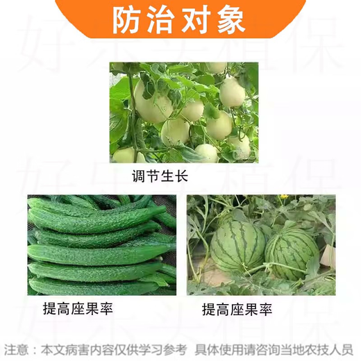 Guoguang Guopeng 0.1% chlorfenuron chloride growth regulator to protect flowers and fruits, watermelon and grape production increase pesticide 100ml*1 bottle