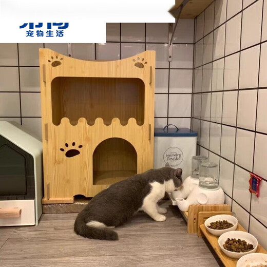 Hibiscus Mingkan is not easy to wet the chin. Elephant drinking fountain Garfield big-faced and flat-faced drinking bowl is anti-tipping and moisture-proof ceramics. Macaron powder + glass bottle + square plate