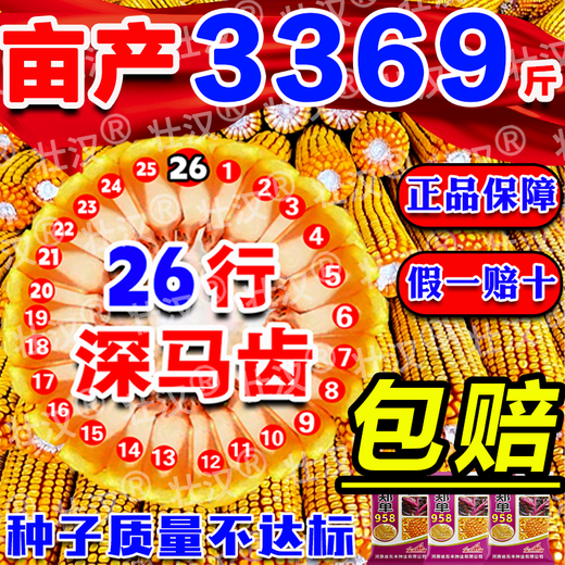 Zhuanghan Academy of Agricultural Sciences National Approval of Corn Seeds Zhengdan 958 High Yield Short Stem Lodging and Drought Resistance Big Stick New Variety Baogu Live Stalk Mature 3Jin Jin equals 0.5kg South and North Tong has a high germination rate