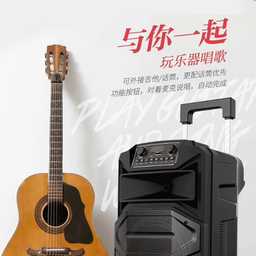 TEMEISHENG SL12-31Pro outdoor square dance karaoke audio high-power portable trolley Bluetooth mobile speaker 12-inch standard + 2 wireless microphones + gift bag (gift)