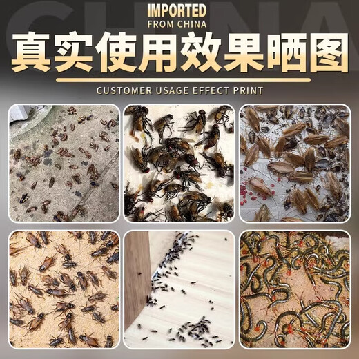 户净杀虫烟雾剂蟑螂烟雾杀虫剂灭虫烟雾弾烟熏剂灭蟑螂药强力效屋蚊蝇