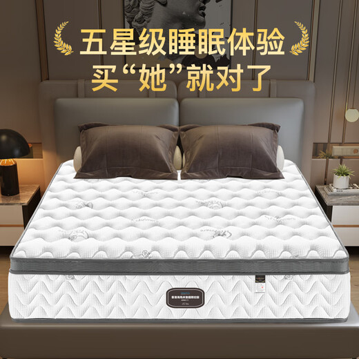金丝海马床垫海马床垫天然乳胶独立弹簧床垫席梦思环保椰棕软硬两用可拆洗 乐享款20软硬适中:加固弹簧+乳胶 1350*2000