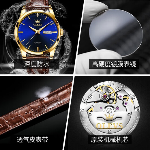 Olevs Swiss Certified Brand Watch Men's Mechanical Watch entièrement automatique Automatique Imperpose haut de gamme HEATS MENSE CADEAU chinois de la Saint-Valentin pour le petit ami Amélioration de la version améliorée-6629 Brown Leather Full Gold Blue Face Men