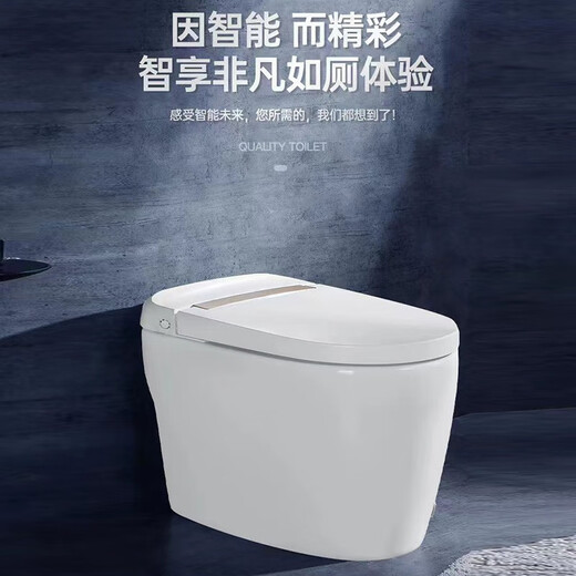 Madeqi Alemania MDQ Madeqi Smart inodoro (MT-9901) Nuevo Simple Smart Toilet Gold
