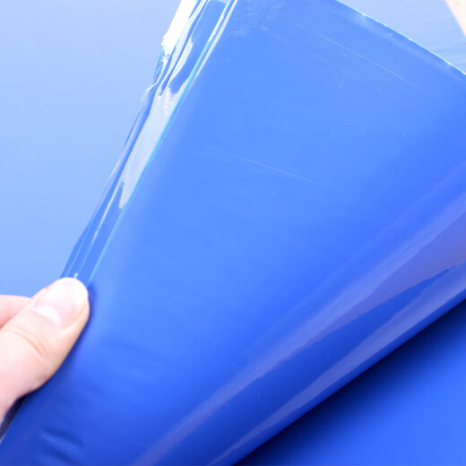 Aidier Dust Pad Static Clean Room Pedal Glue Pad Cleaner Blue 65*115cm (30 photos) KW067209