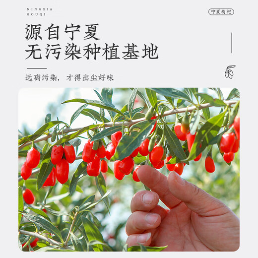 渭水鸿 枸杞子 特级宁夏枸杞250克精选头茬新果枸杞泡水煲汤枸杞茶泡酒