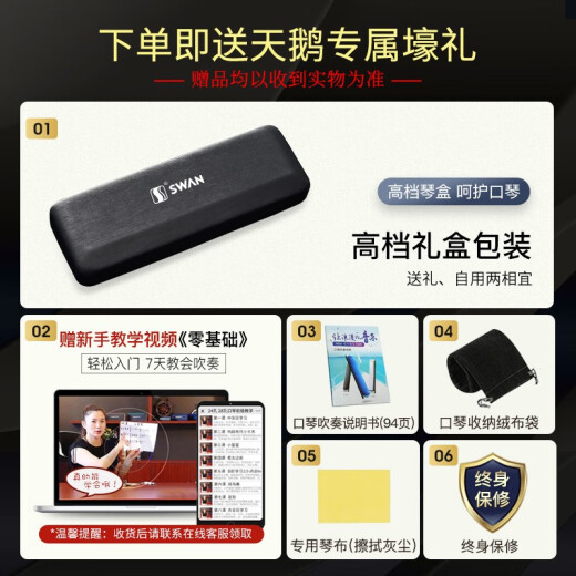 天鹅（SWAN）24孔复音口琴高级成人初学者专业演奏口琴C调国风设计（蓝色）