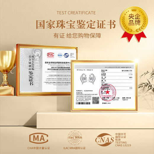 China Gold (CHINA GOLD) I Have You in My Heart Silver Earrings for Women Topaz Silver Earrings Girls Birthday Gifts for Girlfriends and Wife Wedding Anniversary I Have You in My Heart Earrings-Topaz Jingsuda