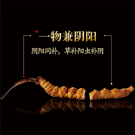晶草 冬虫夏草 西藏断虫草5g 高洁净全相保鲜虫草 自吃推荐性价比高