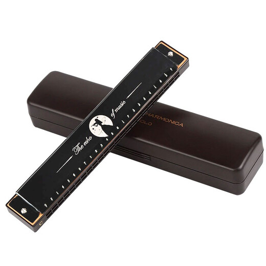 Chimei QIMEI 24-hole polyphonic teaching harmonica in C key (phoneme annotation) Athens Black