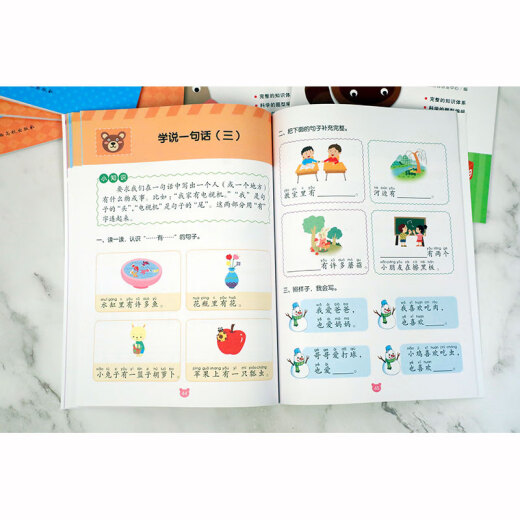 幼小衔接冲刺练习-语文297875493**834
