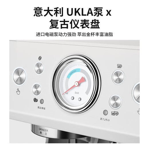 柏翠（petrus）意式咖啡机家商用全半自动研磨一体机小型浓缩奶泡机双泵双炉 PE3899 节日礼物 PE3899咖啡机+制冰机套装