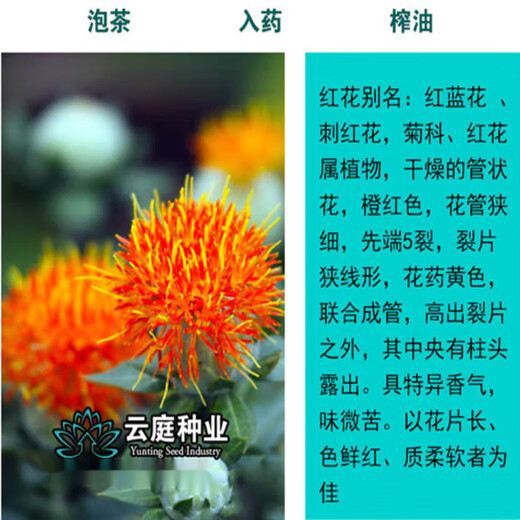 Li Xin Chinese herbal medicine safflower seeds saffron seeds Xinjiang thornless safflower seeds large field planting seeds 50 safflower seeds + fertilizer