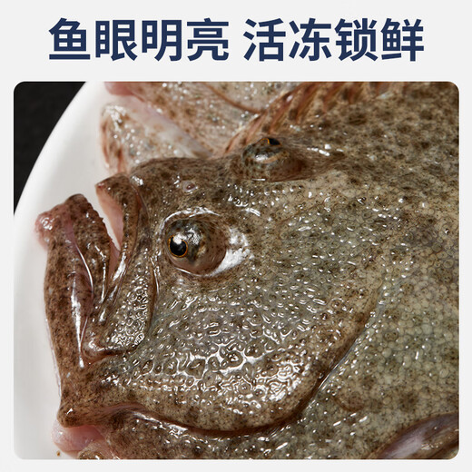 Selling Fish Seven Lang Turbot Net Weight 2.1 Jin Jin equals 0.5 kg, 3 pieces in total, Sea-caught fresh frozen halibut, fresh aquatic fish