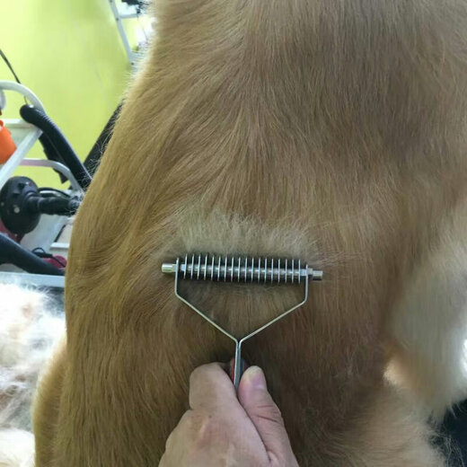 Robbie dog comb, pet fluff comb, knot-opening and shaving knife, bottom rake, y-shaped ragdoll cat floating hair, golden retriever Teddy, sparse teeth - 12 teeth (Teddy Bichon Garfield)