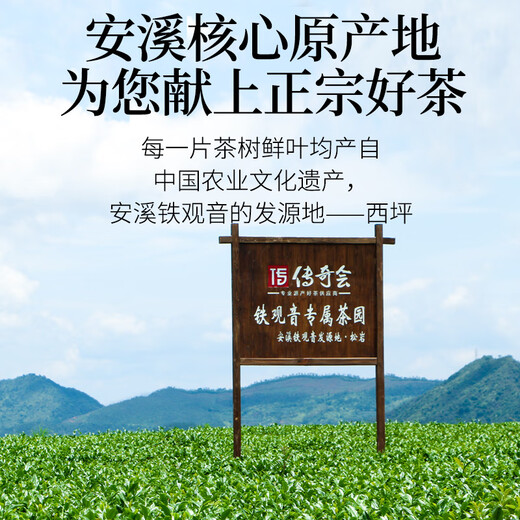 传奇会乌龙茶 安溪铁观音 浓香型特级500g中火礼盒装茶叶新茶送礼礼品