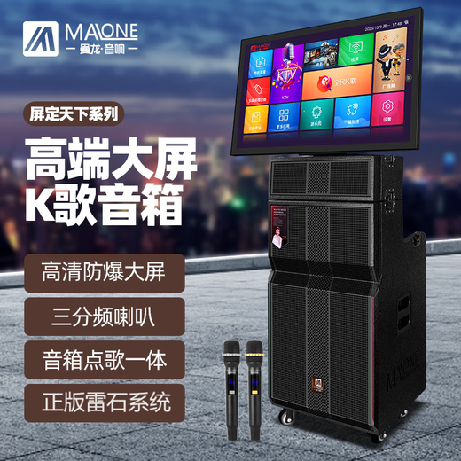 曼龙（MALONE）新款广场舞音响带显示屏线阵大功率重低音户外家用移动ktv套装卡拉OK唱歌视频一体机 KT-3385(2000G)+2原装话筒+礼品 双系统