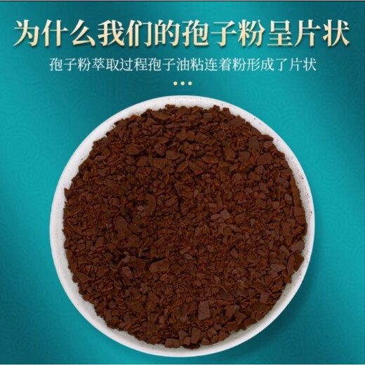 Jinzhihong Organic Ganoderma Spore Powder Changbai Mountain Red Ganoderma 3g*84 Bags Gift Box White Simple Style 84 Bags + Trial Pack 6 Bags