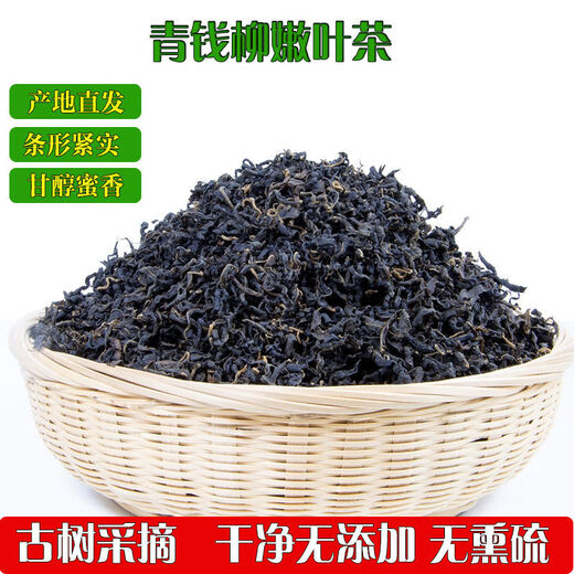 Jianyi Nian Zhangjiajie Qingqian Liu Tea Special Tender Leaf Jinqian Liu Tea Health Tea Qingqian Liu 500g First-grade Tender Leaf