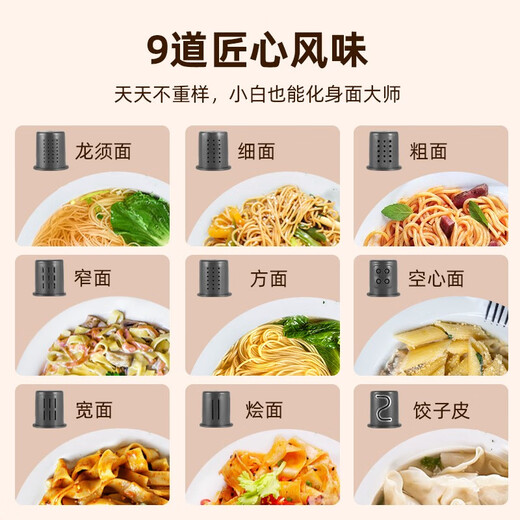 Vitaland Automatic Dripping Noodle Machine Home Fully Automatic Multi-Function Noodle Press Multi-die Head Mixer Electric Noodle Machine Electric Dumpling Maker Noodles Silver Gray Brand New Intelligent Noodle Machine