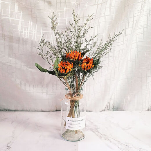 AIMAN dried flowers eucalyptus leaves Nordic style ins Nordic style small fresh living room ornaments diy home decoration ornaments SN Lover's grass a bunch without bottle 250g to dry