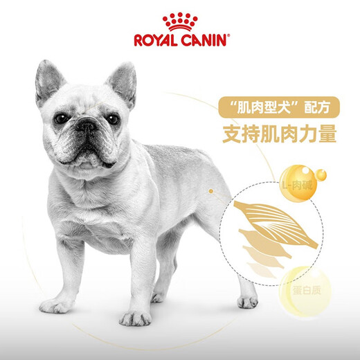 皇家狗粮 斗牛犬成犬狗粮 宠物中型犬 FBA26 全价犬粮 ≥12月 6.5KG