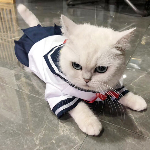 Yu Sange (yusange) cat clothes lolita cat and dog cute shirt skirt thin pet JK uniform skirt sailor suit dog clothes Add to favorites and purchase to get free toys Remarks pet type JK uniform mother and baby style XL Back length 35cm, bust 45cm suitable for 8-10Jin Jin equals 0.5 kg