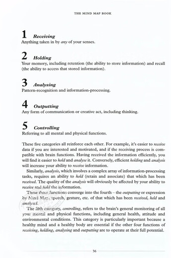 Mind Map Original Englisch Das Mind Map Buch Schweizer Taschenmesser des Gehirns Bestseller