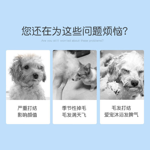 Hanhan Paradise Katzenhund Kamm Haarentfernung Kammhund Haarentfernung Massage Kamm Haarentfernung Massage Kamm Haarentfernung Artefakt Haustier Knoten Kamm große Größe