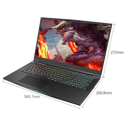 机械革命(MECHREVO)X10Ti-S 十代酷睿i7 17.3英寸144Hz游戏笔记本电脑(i7-10875H 16G 512G PCIE RTX2070)
