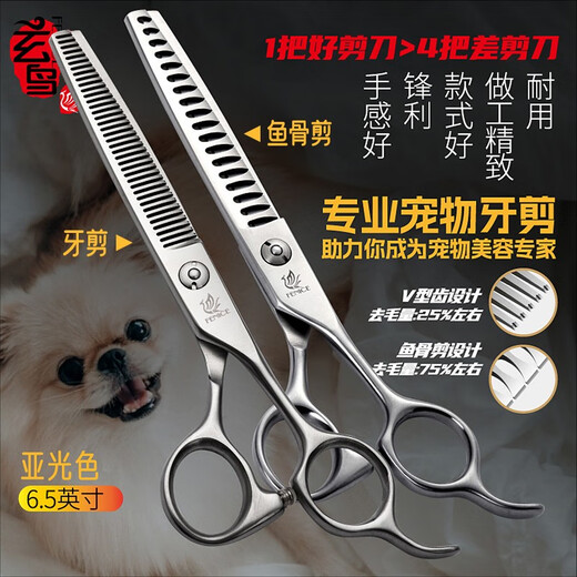Xuanniao professional pet scissors, dental scissors, thinning shears, 6.5-inch Teddy dog grooming and trimming scissors, 6.5-inch fish bone scissors