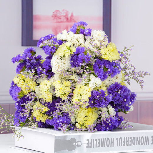 AIMAN fleurs vraies fleurs Yunnan bouquet de fleurs séchées myosotis vraies fleurs décoration de la maison arrangement floral simple mélange et correspondance haleine de bébé fleurs séchées violet + jaune + moût blanc + herbe des amoureux 30 pièces sac de fleurs séchées