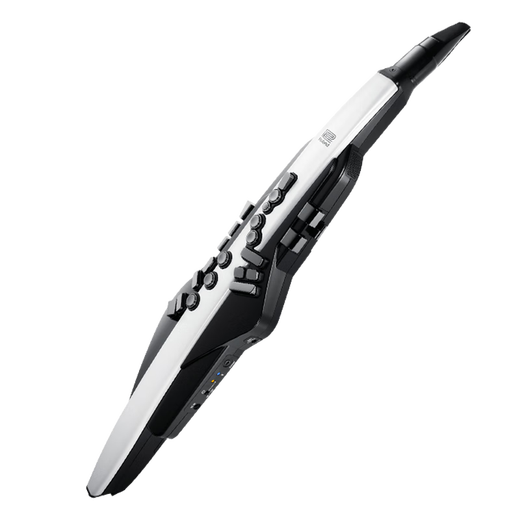 
Roland (Roland) Roland AE20 hair tube AE-30 flagship blow tube electronic saxophone AE10 upgraded model AE20+ lithium battery (battery life of 10 hours) + headphones