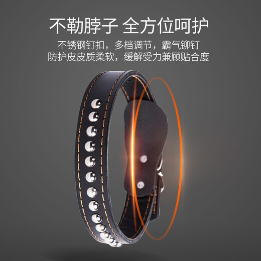 Mastiff Shaobao dog leash, traction rope, dog leash, large and medium-sized dog walking leash, golden retriever collar, pet dog outing supplies, black M size, recommended 30-50 Jin Jin is equal to 0.5 kg