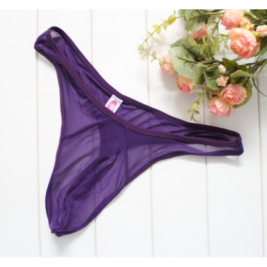 Confidential delivery, transparent and sexy men's thong mesh low-waisted temptation fashionable sexy underwear and T-pants all red