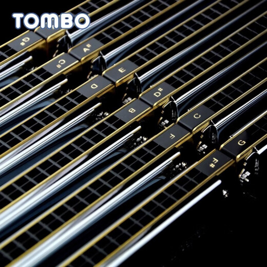 通宝（TOMBO）6624s套装12调7调口琴高级成人专业演奏级初学者自学 6624P【演奏级】12调