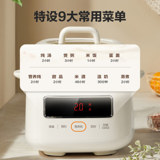 SUPOR ELEKTRISCHE STEW POT ELEKTRISCHE ELEKTRISCHE TOOT TOT WASSERELELTE TOPT POT SOUPPETT POTT SCHENTETE KOPT POT SOUBER SOUBER SOUBER POT DANTELNET TOT BABE KOCHEN