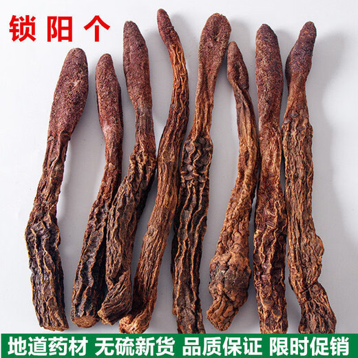 
Jinsuoyang wild whole root Suoyang Chinese medicinal materials men's wine ingredients Suoyang tablets Suoyang paired with epimedium Suoyang 250 grams